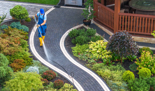 Best Local Pressure Washing Services  in Brookville, PA